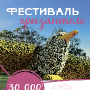 Фестиваль Хризантем