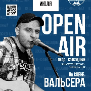 Open air концерт в исполнении Вальсера