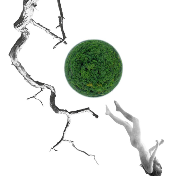 «LISOVA». За Лесею Українкою