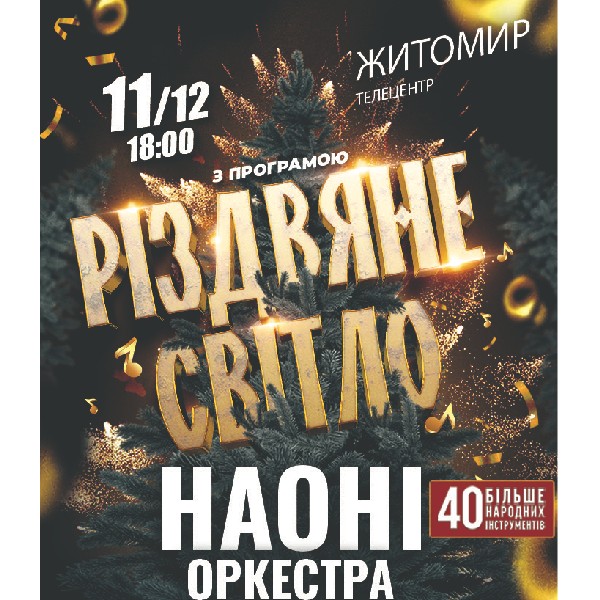 Наоні Різдвяне світло (Житомир)